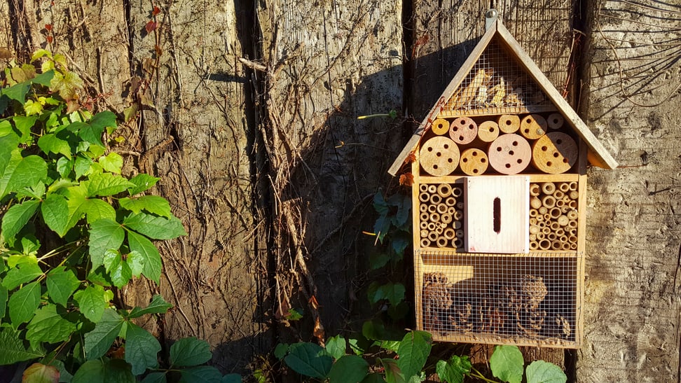 Photo: iStockphoto, Kerrick Symbolic image of an insect hotel.