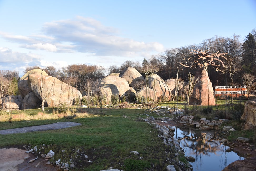 Foto: Zoo Zürich, Robert Zingg Blick auf die Kopjefelsen in der Lewa Savanne.