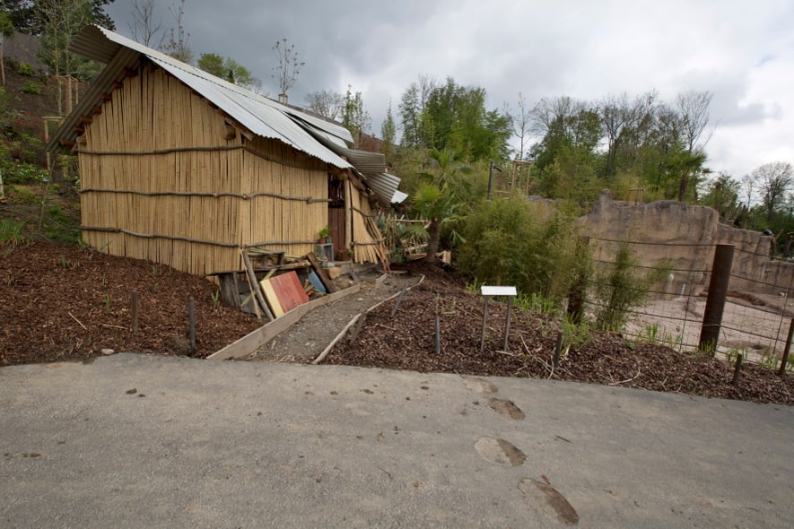 Photo: Zoo Zurich, Jean-Luc Grossmann Szenografie im Kaeng Krachan Elefantenpark.