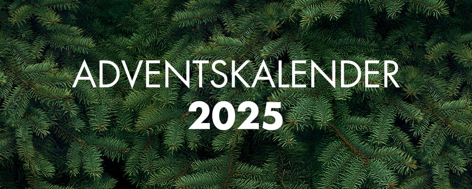 Visual für den Video-Adventskalender 2025 des Zoo Zürich.