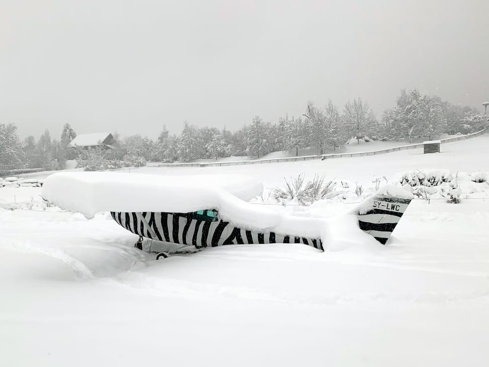 Foto: Zoo Zürich, Jochen Lengger Zebra-Flieger in der Lewa Savanne am 15.1.2021.