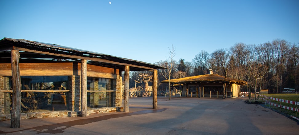 Foto: Zoo Zürich, Rita Schlegel Erdmännchenanlage in der Lewa Savanne, Stand Januar 2020.