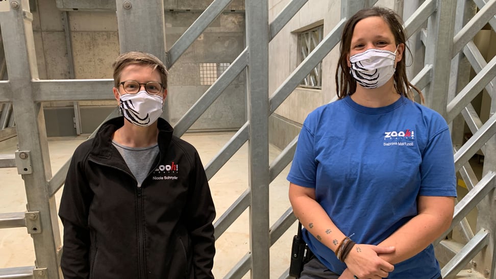 Foto: Zoo Zürich, Katja Aeschlimann Aufnahmen zum Podcast Elefantenpark mit Nicole Schnyder und Sabrina Markzoll