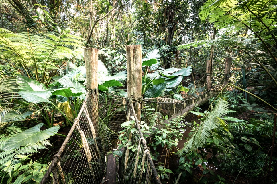 Seilhängebrücke als Teil der Erlebniswege im Masoala Regenwald des Zoo Zürich.