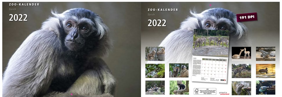 Zoo Zürich - Kalender 2022 zookalender 2022