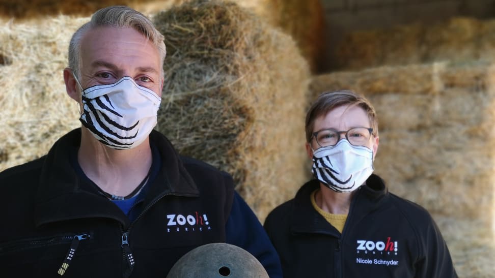 Foto: Zoo Zürich, Aline Buob Aufnahmen zum Podcast Elefantenpark mit Nicole Schnyder und Daniel Hafner