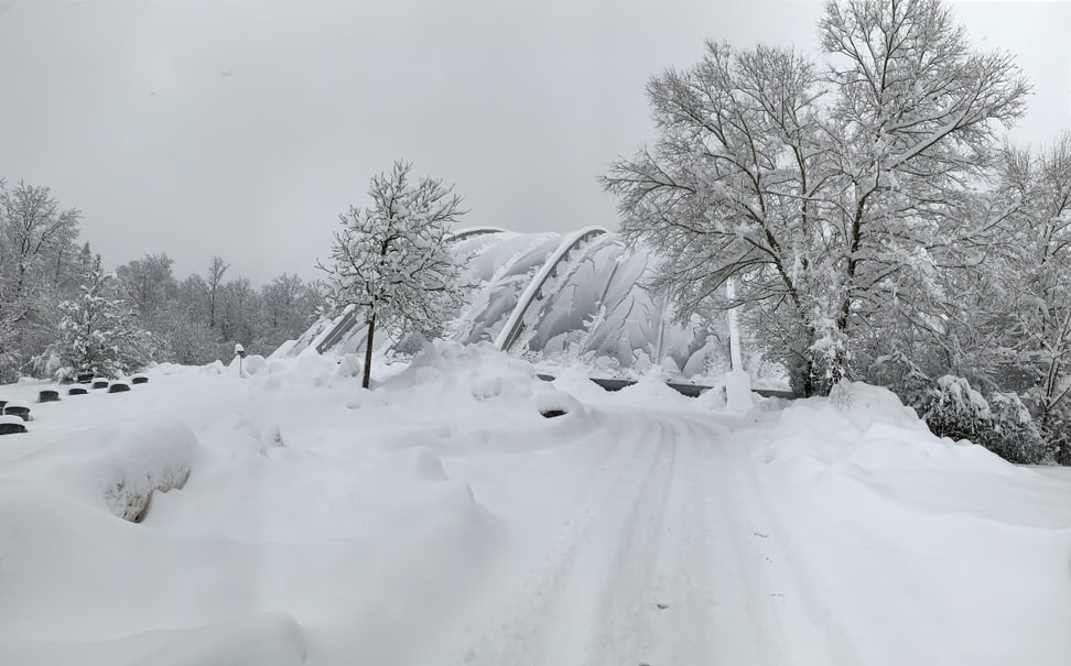 Masoala Regenwald am 15.1.2021.