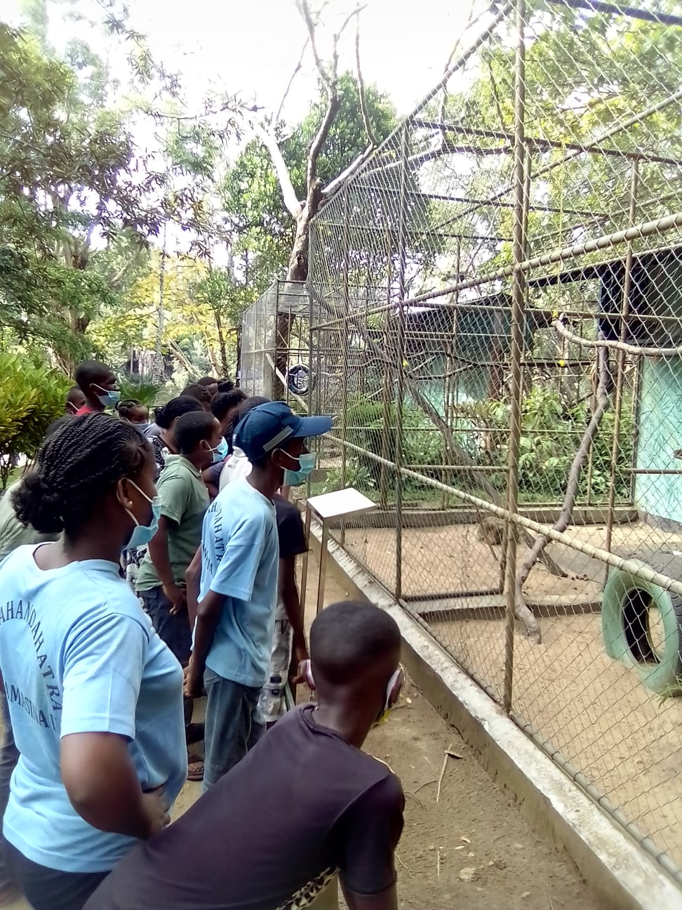 Die Schüler*innen besuchen einen Zoo.