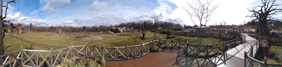 Foto: Zoo Zürich, Rita Schlegel Panorama-Blick vom Steg in der Lewa Savanne.