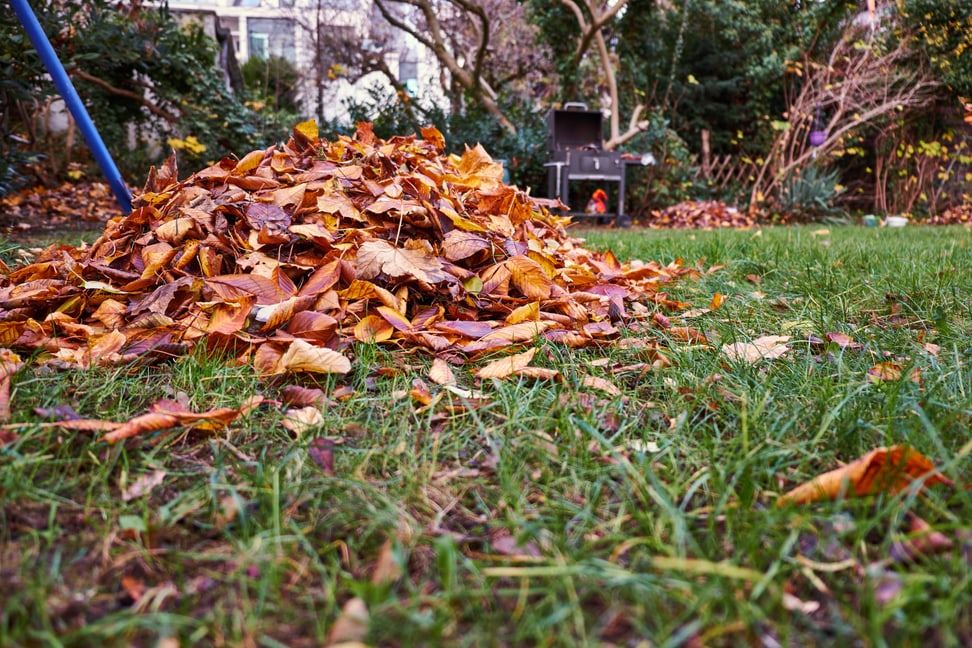 Image symbolique du tas de feuilles dans le jardin.