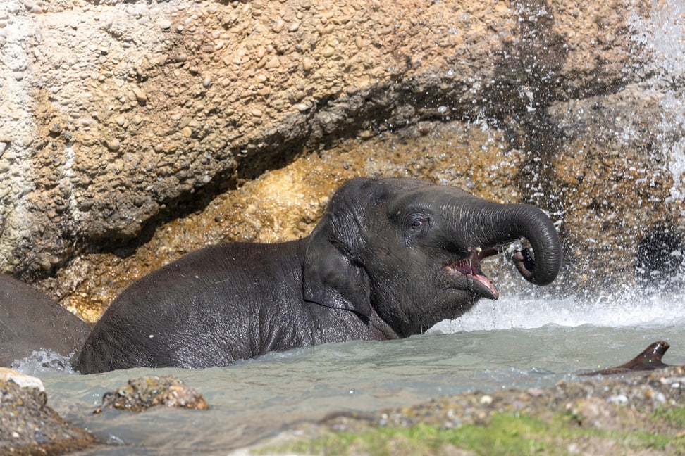 Umesh beim Baden. 