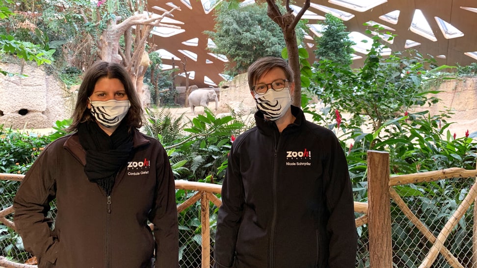 Foto: Zoo Zürich, Claudia Rudolf von Rohr Aufnahmen zum Podcast Elefantenpark mit Nicole Schnyder und Cordula Galeffi