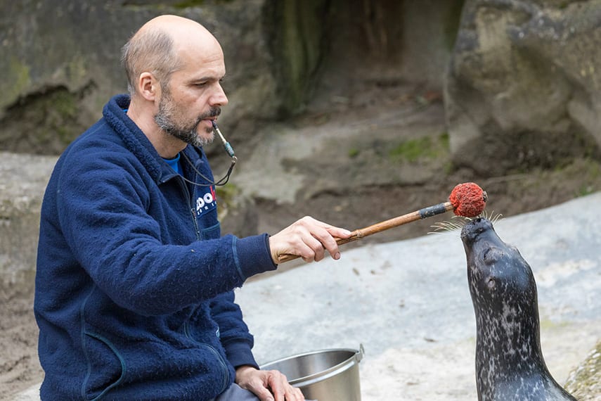 Seehund Training Hilfsmittel