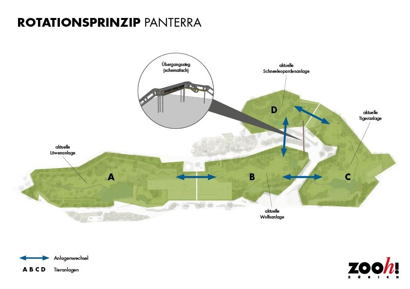 Grafik: Zoo Zürich, Daniel Egger Schematische Darstellung des geplanten Rotationsprinzip in Panterra.