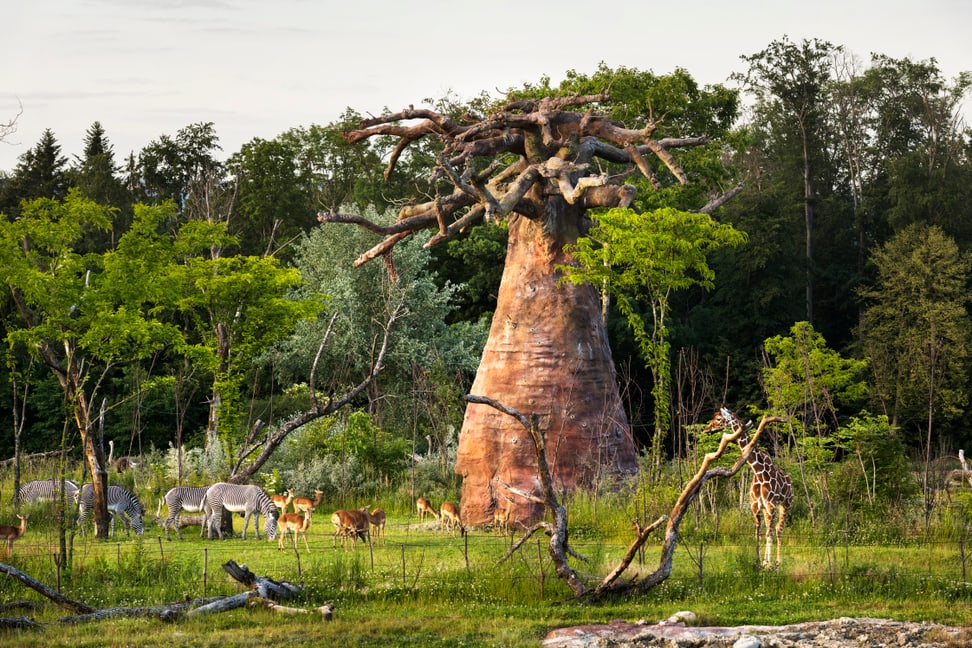 Foto: Zoo Zürich, Goran Basic Lebensgemeinschaft in der Lewa Savanne im Zoo Zürich.
