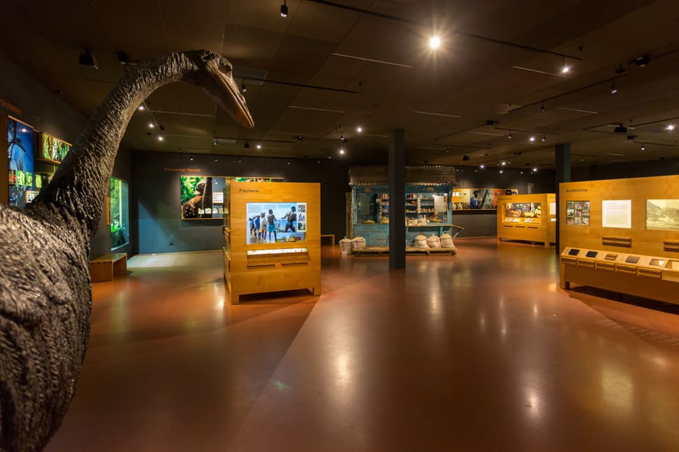 Foto: Zoo Zürich, Enzo Franchini Ausstellung im Infozentrum Masoala Regenwald.