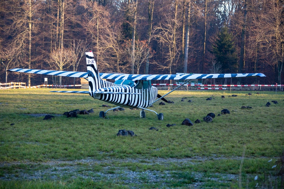 Foto: Zoo Zürich, Rita Schlegel Flugzeug in der Lewa Savanne.