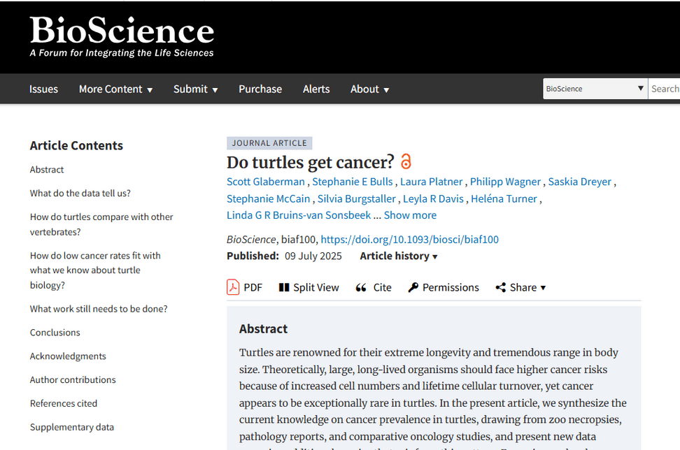 Textausschnitt einer Studie