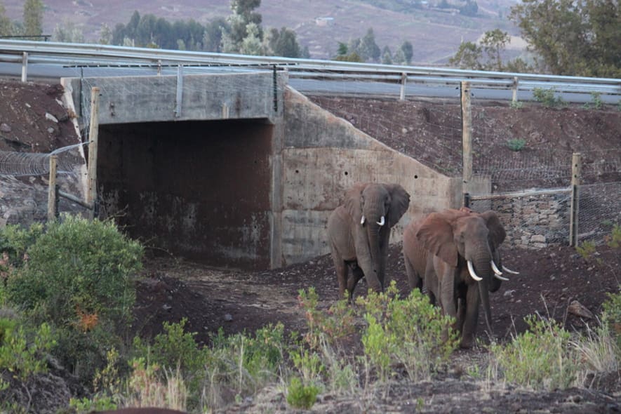 Foto: Lewa Wildlife Conservancy LWC Wildtierkorridor in der Lewa Wildlife Conservancy.