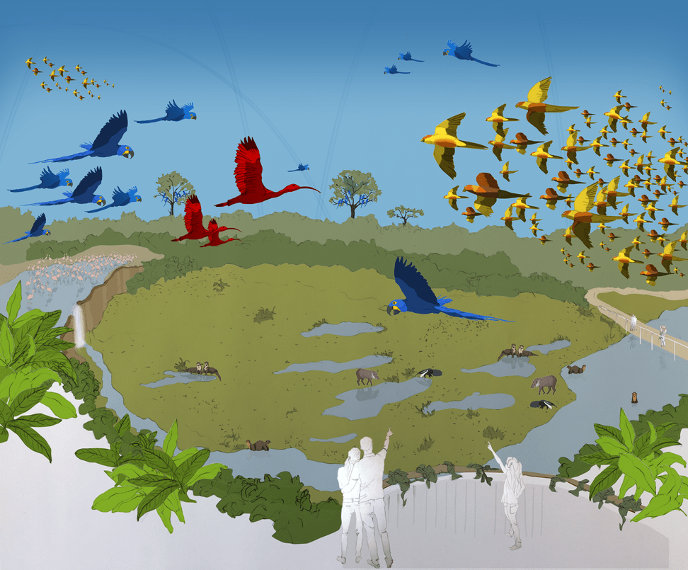 Visualization of Pantanal aviary at Zoo Zurich