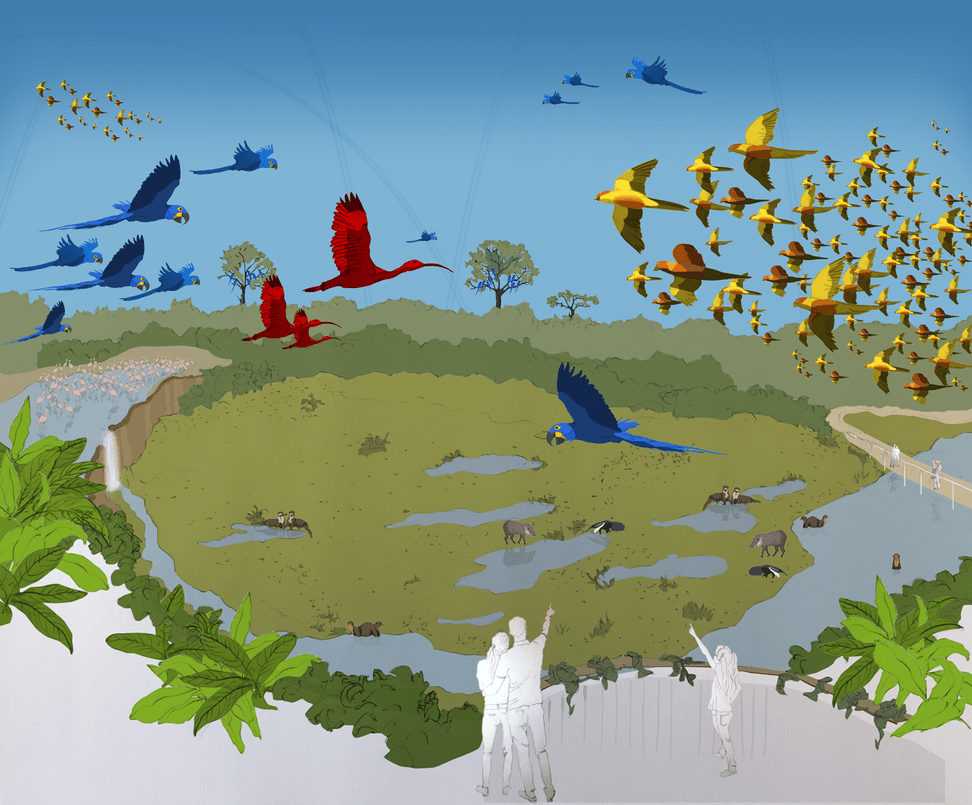Visualisation : Zoo de Zurich, Susanne Weber Visualisation de la volière du Pantanal au zoo de Zurich