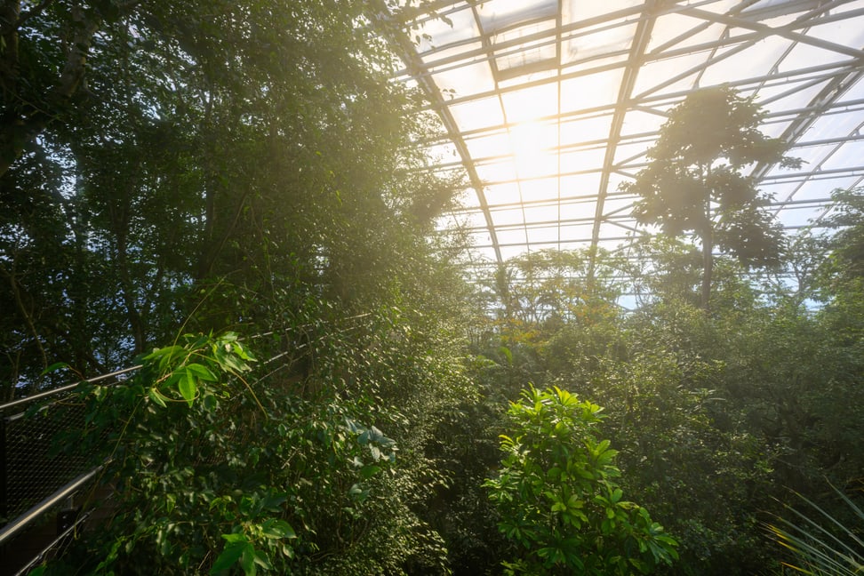 Forêt pluviale de Masoala au Zoo de Zurich en février 2023.