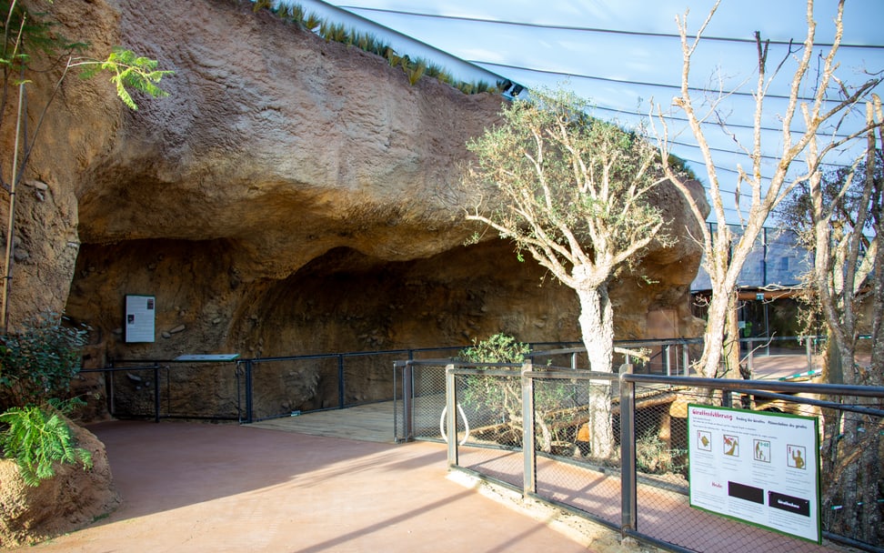 Obere Etage des Lewa Giraffenhauses.