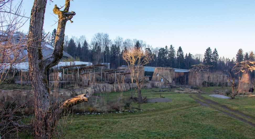 Ausblick vom Steg in der Lewa Savanne.