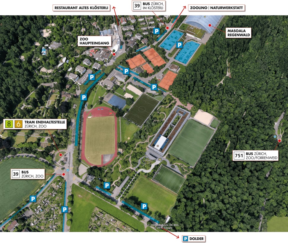 Übersichtsplan für die Anreise in den Zoo Zürich.