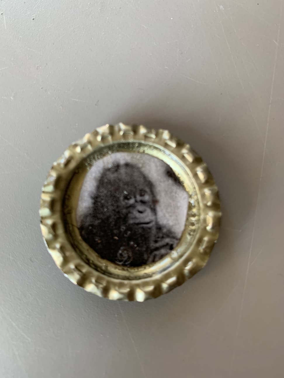 Foto Anstecker Zoo dihei Beispielbild