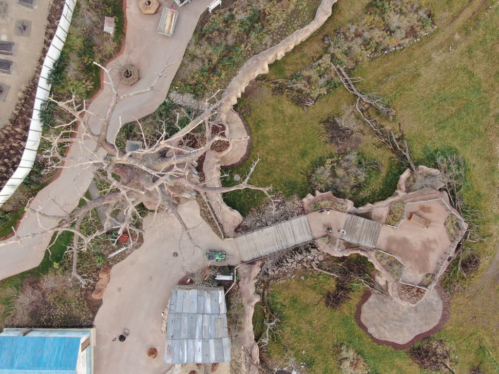 Foto: Zoo Zürich, Dominik Ryser Blick auf Baobab und Steg in der Lewa Savanne im Januar 2020.