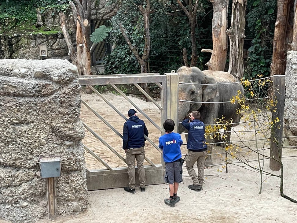 Asiatischer Elefant Panang in der Innenanlage des Kaeng Krachan Elefantenparks im Zoo Zürich, mit Tierpflegern.