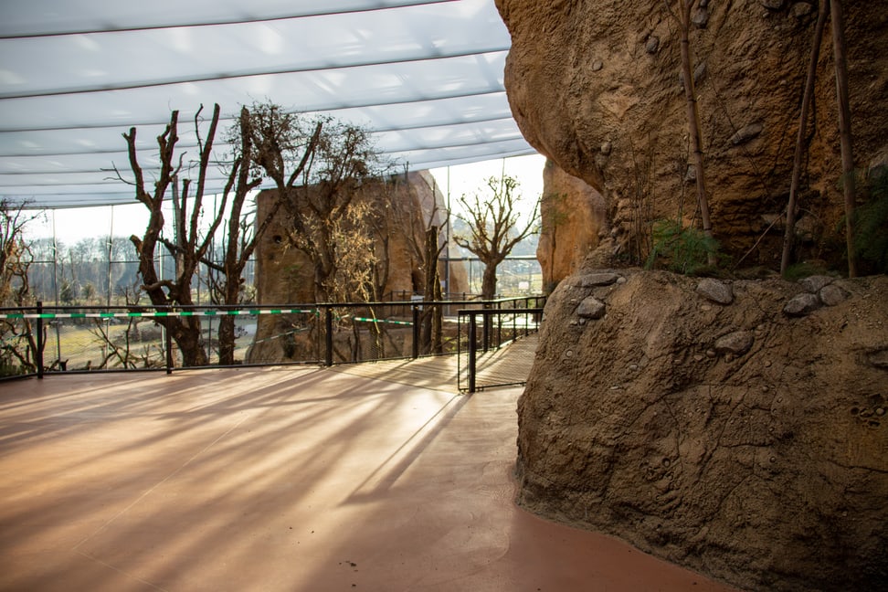 Blick in den oberen Stock des Lewa Giraffenhauses.