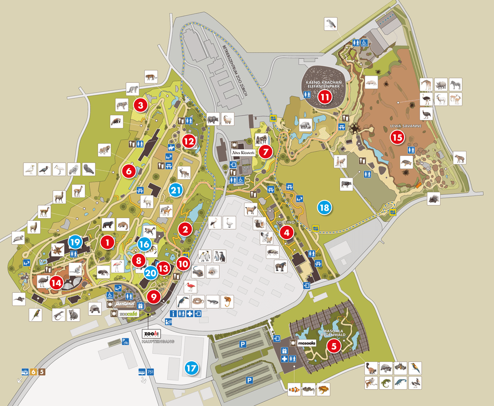 Zooplan 2020 Lewa