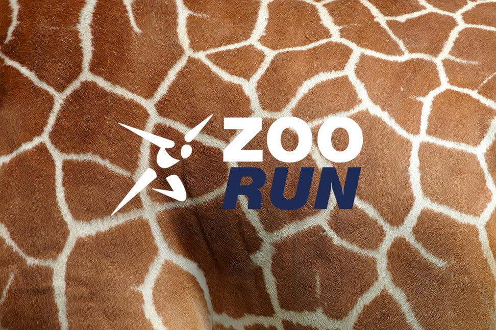 Bild: zvg Visual zum Anlass Weltklasse Zürich x Zoo Run 2022.