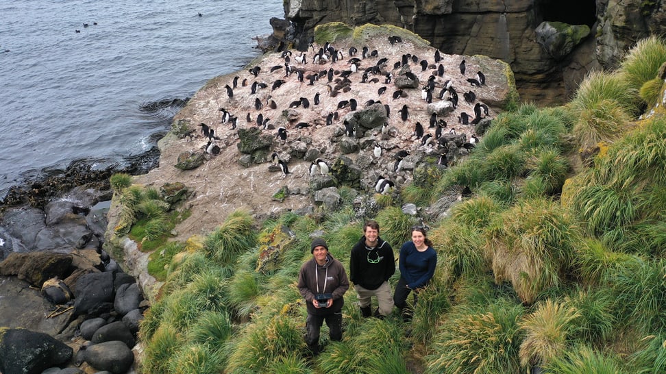 Forschungsteam auf den Antipoden-Inseln.