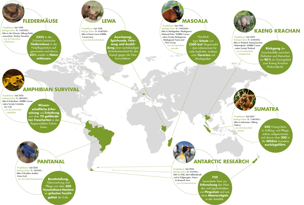 Grafik mit allen Naturschutzprojekten des Zoo Zürich, Stand April 2023.