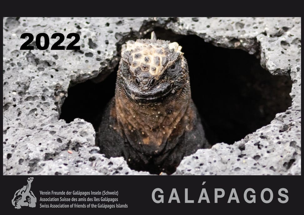 Kalender 2022