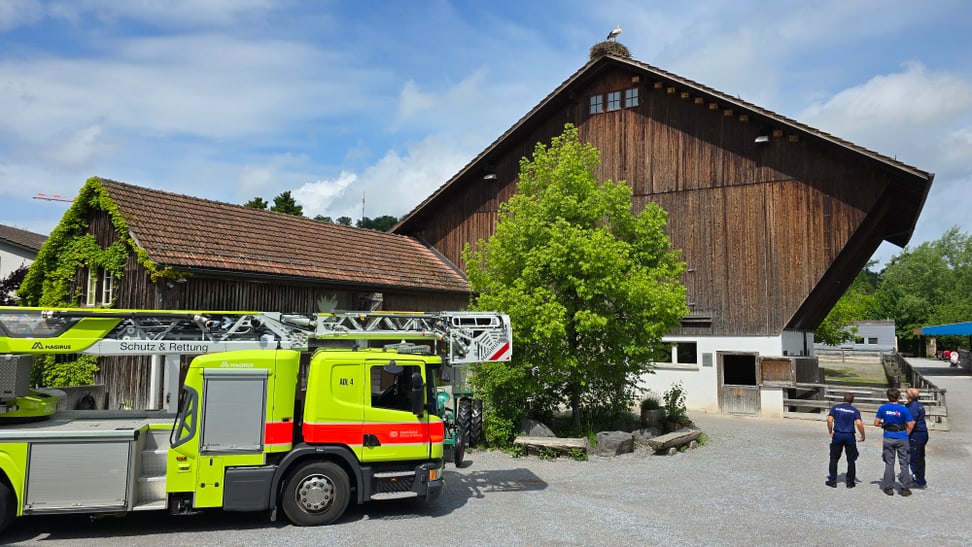 Feuerwehrauto zur Storchenberingung im Zoo Zürich