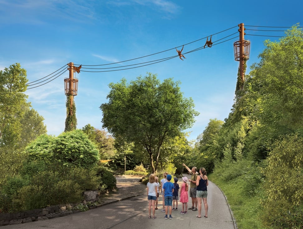 Rendering of the planned orangutan trail at Zoo Zurich.