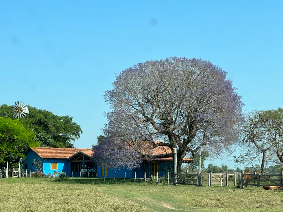 Die Projektbasis von Arara Azul im Süden des Pantanals