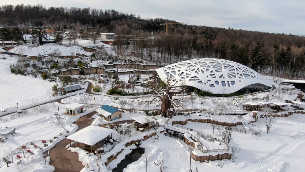 Foto: Zoo Zürich, Dominik Ryser Kaeng Krachan Elefantenpark & Lewa Savanne im Schnee