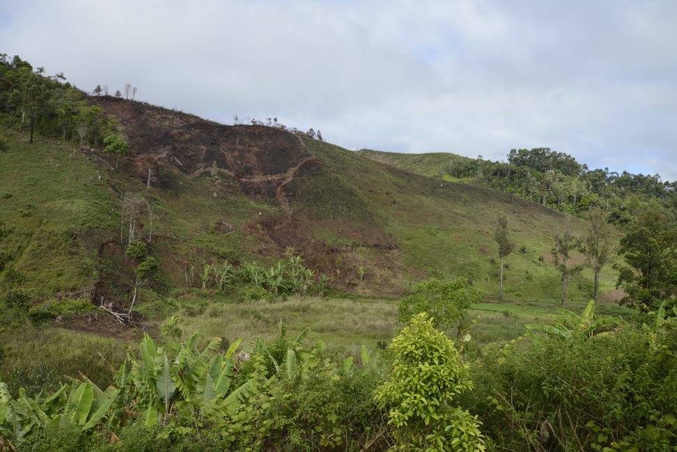 Abgeholzter Regenwald (Slash & Burn) auf Madagaskar.