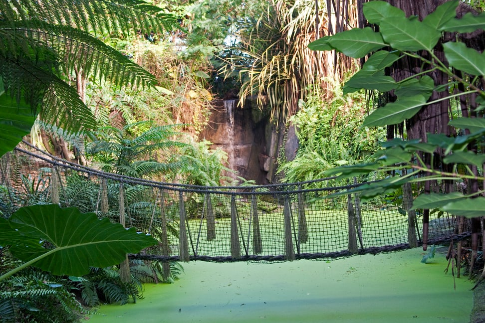 Seilhängebrücke als Teil der Erlebniswege im Masoala Regenwald des Zoo Zürich.