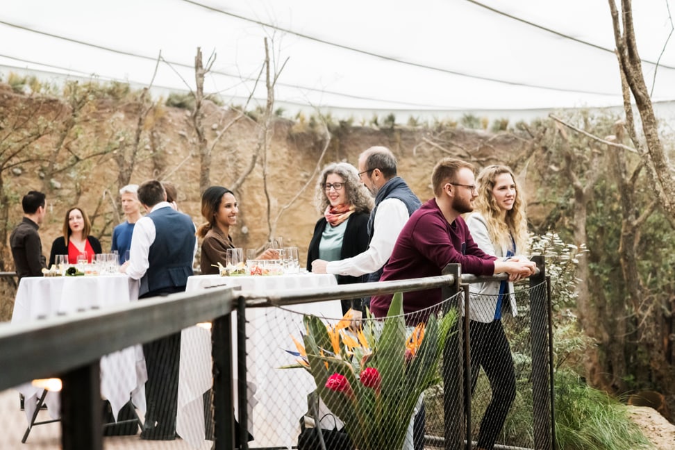 Apéro im Giraffenhaus der Lewa Savanne des Zoo Zürich.