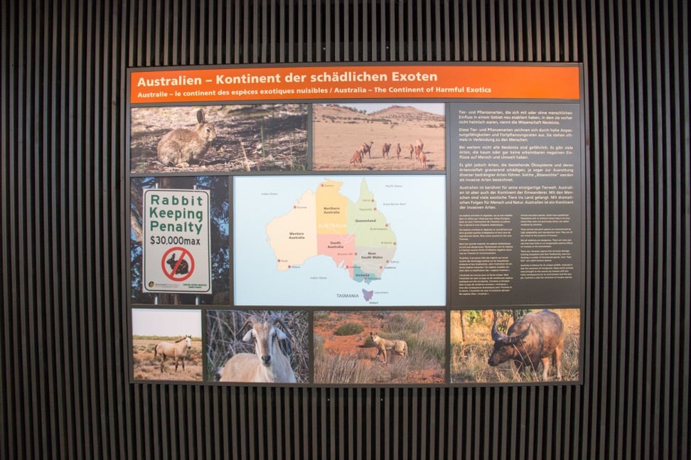 Tafel in der Naturschutzausstellung Australien im Zoo Zürich.