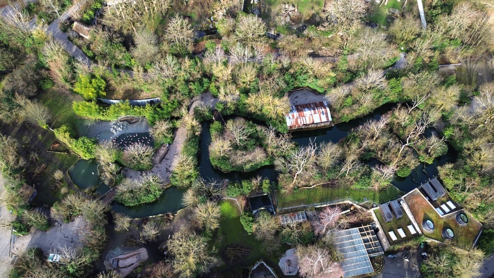 Luftaufnahme des Pantanals im Zoo Zürich am 21. Februar 2024.