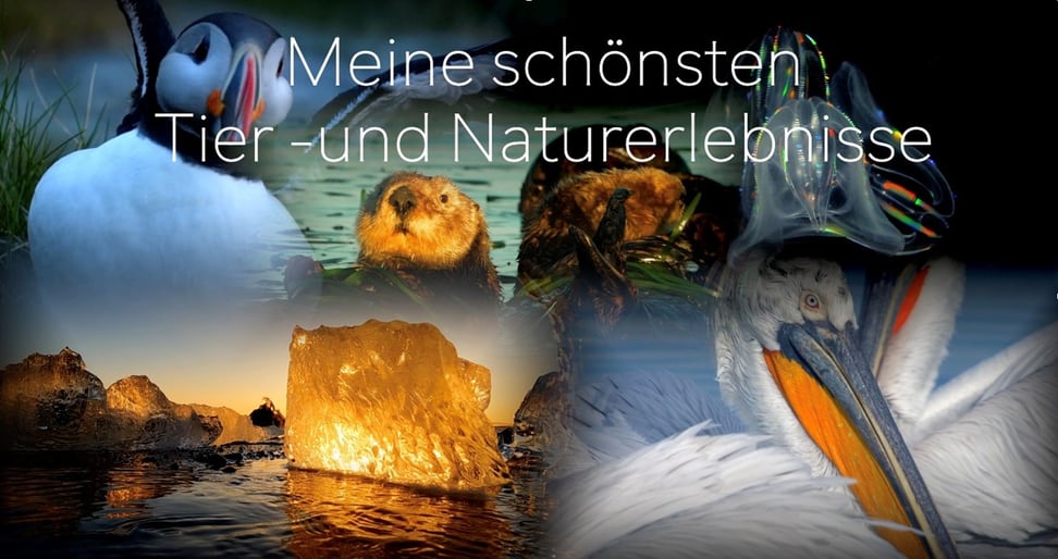 Bildcollage mit Fotografien des TGZ Vortrags vom November 2025