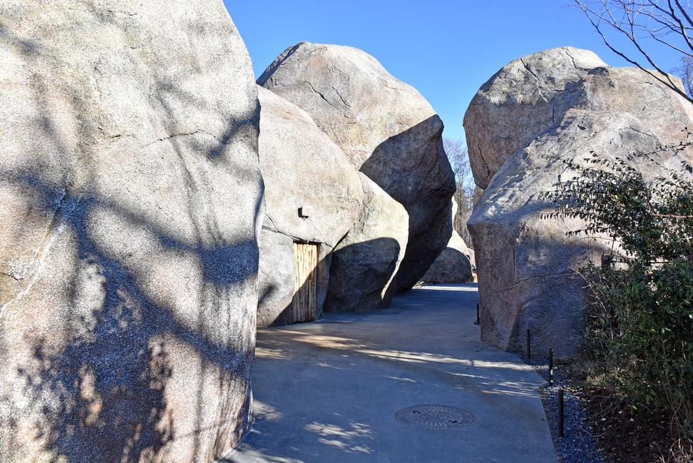 Foto: Zoo Zürich, Robert Zingg Kopjefelsen in der Lewa Savanne im Zoo Zürich.