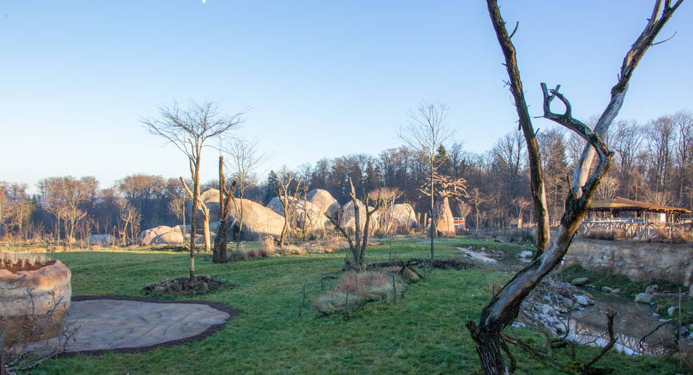 Foto: Zoo Zürich, Rita Schlegel Blick vom Steg Richtung Kopje-Felsen.